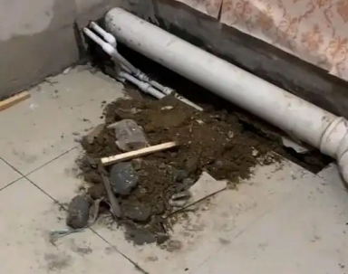 兴宁卫生间漏水检测哪家好
