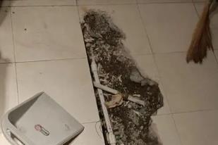 兴宁卫生间漏水检测电话
